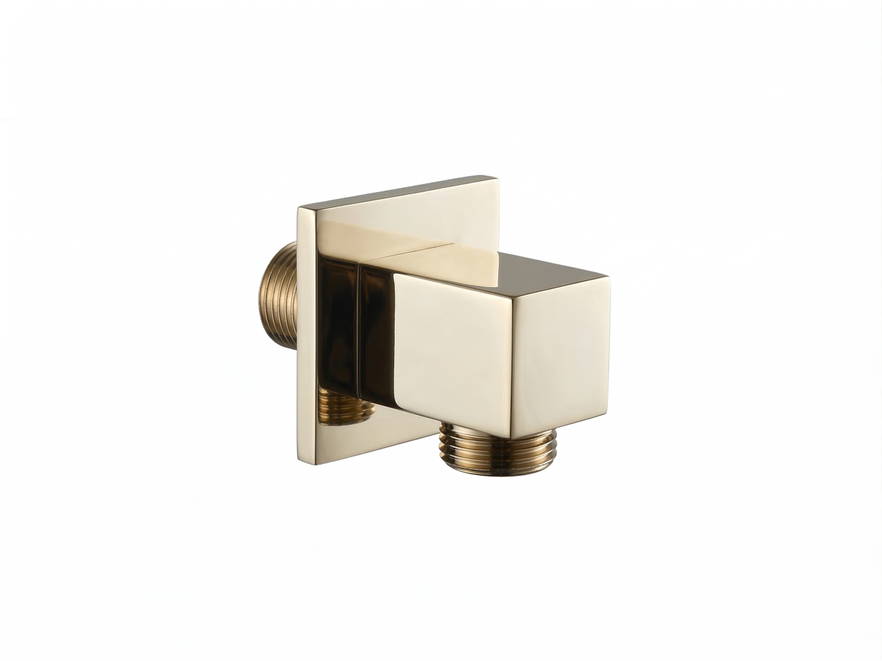 Presa d'acqua SHOWER_DS017340 -1