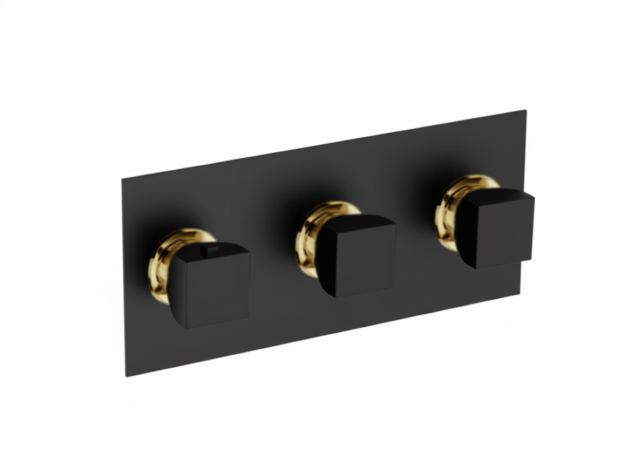 Parte esterna termo doccia incasso 2 funzioni WELLNESS_RI01R200 -1