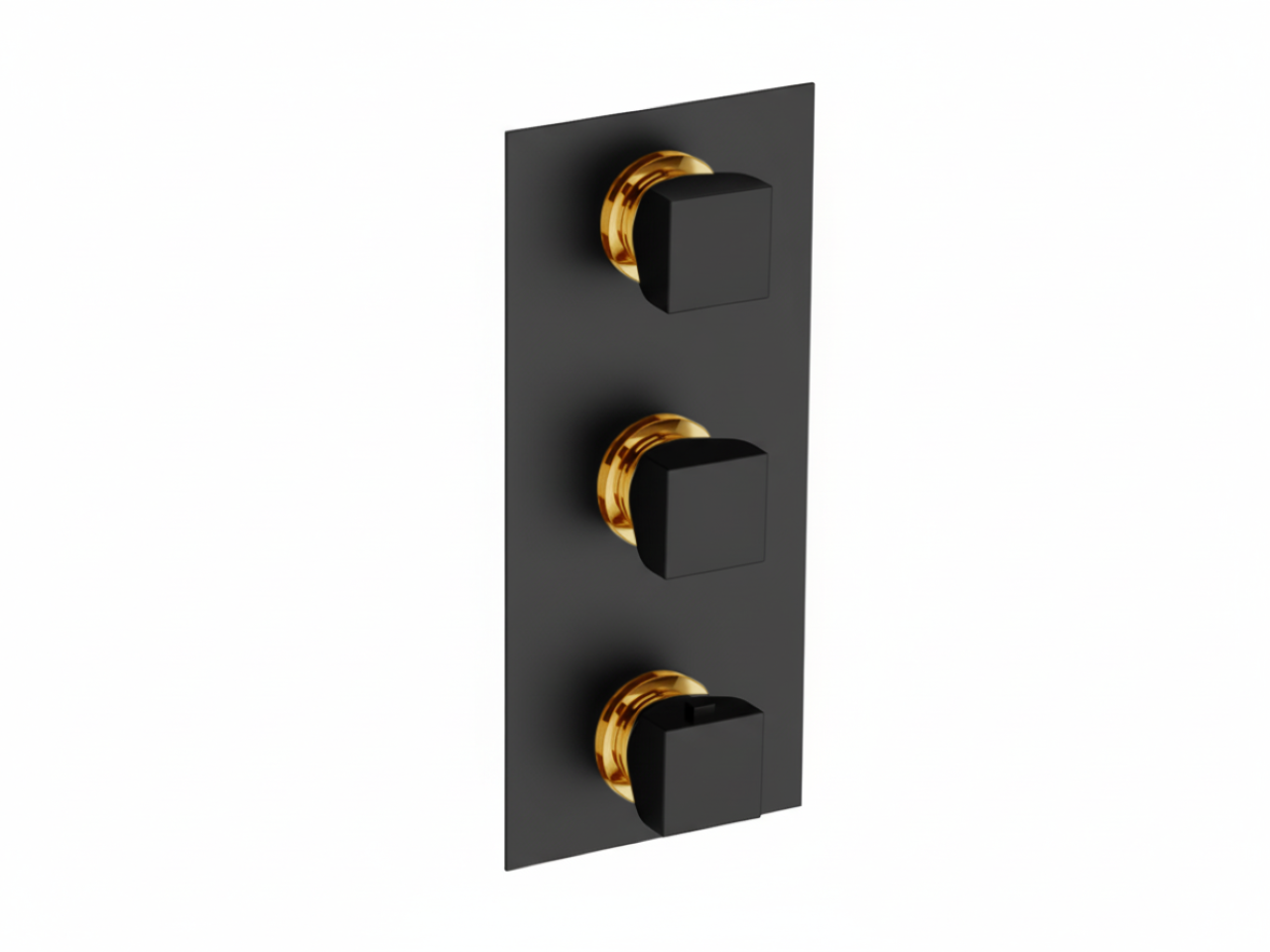 Parte esterna termo doccia incasso 2 funzioni HI-RISE_RI01V200 -1